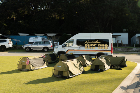 Brisbane to Sydney Surf Tour: All Levels