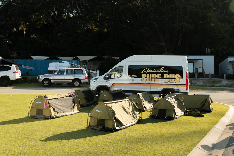 Brisbane to Sydney Surf Tour: All Levels