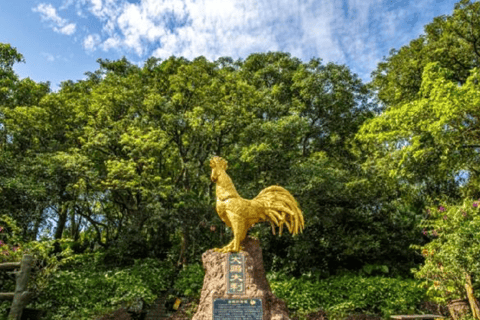 海口：火山火山口公园与永庆寺之旅