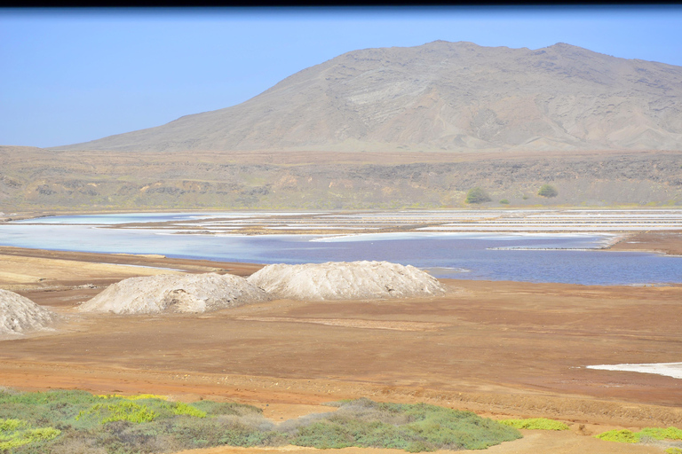 Sal Island: Small-Group Tour with Shark Bay & Blue Eye