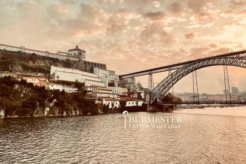 Exclusieve en premium privétour naar Burmester kelders