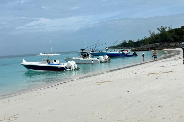 Barco privado Cerdos ,Tortugas, snorkel en el arrecife y chiringuito ⛱️Hacer que los recuerdos perduren con un grupo privado de familiares y amigos