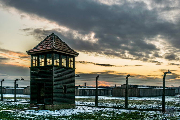 Från Krakow: Auschwitz-Birkenau-tur med transport