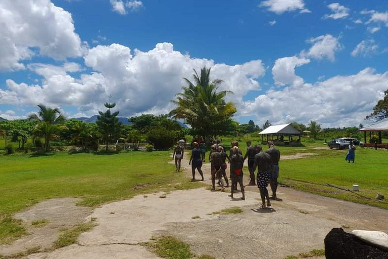 Ogród Śpiącego Olbrzyma z wycieczką do gorących źródeł Tifajek MudpoolHotele w Nadi / Port Denarau / Double Tree / Odbiór z Vuda