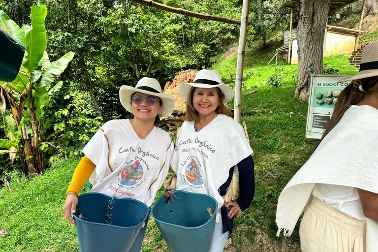 Bogotá: Choachí Farm-to-Cup Coffee Day Trip with Cupping