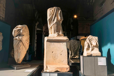 Rome: Colosseum, Roman Forum & Palatine Hill Tour Guided Tour in French