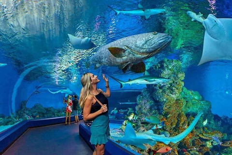 Hurghada: Grand Aquarium & only Transfers without entry Fees