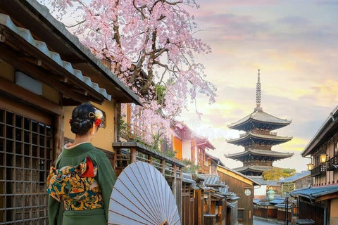 Kyoto: Private Custom Tour with English Guide and Vehicle Kyoto: Private Custom Tour with Licensed Guide and Vehicle