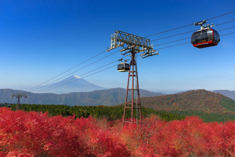 Tokyo Mt Fuji Hakone Private Tour with French Speaking Guide French-Speaking Guide Option-Toyota Alphard / HiAce