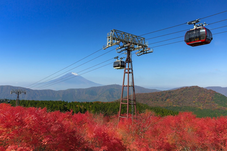 Tokyo Mt Fuji Hakone Private Tour with French Speaking Guide French-Speaking Guide Option-Toyota Alphard / HiAce
