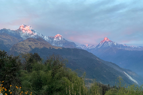 Katmandou : 3 jours de randonnée guidée à Ghorepani Poon HillAu départ de Katmandou : randonnée guidée de 3 jours au lever du soleil à Poon Hill