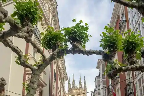 Ronda private guided city tour