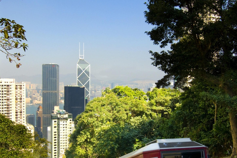 Impresionante excursión de un día a Hong Kong con servicio de recogida incluido