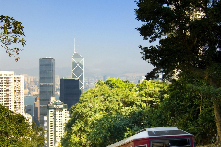 Indrukwekkende Hongkong dagtour inclusief ophaalservice