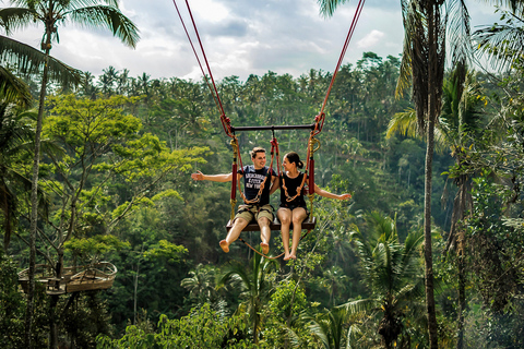 Bali: Excursão de 1 dia aos destaques do InstagramTour em pequenos grupos