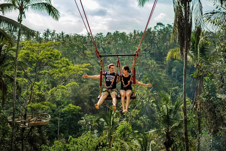 Bali: dagtour langs hoogtepunten voor je InstagramTour met kleine groep