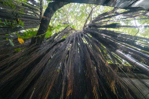 Bangkok: Bang Rak Food Tasting & Culture Walking Tour