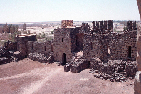 History & Nature: Azraq Wetland Reserve and Desert Castles