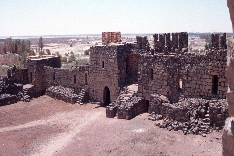 History & Nature: Azraq Wetland Reserve and Desert Castles
