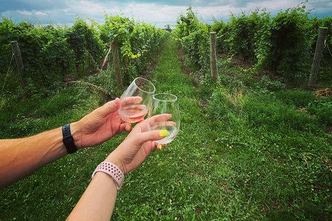 Niagara: Uma aventura vinícola ao entardecer com jantar de 3 pratos