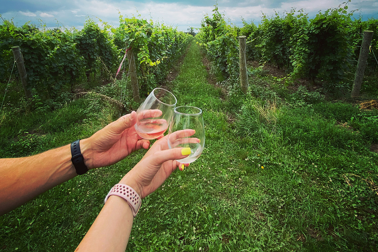 Niagara: Uma aventura vinícola ao entardecer com jantar de 3 pratos