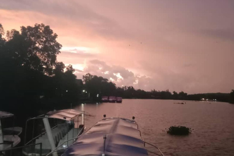 Sabah: Kawa Kawa Private River Cruise w/ Monkeys & Fireflies