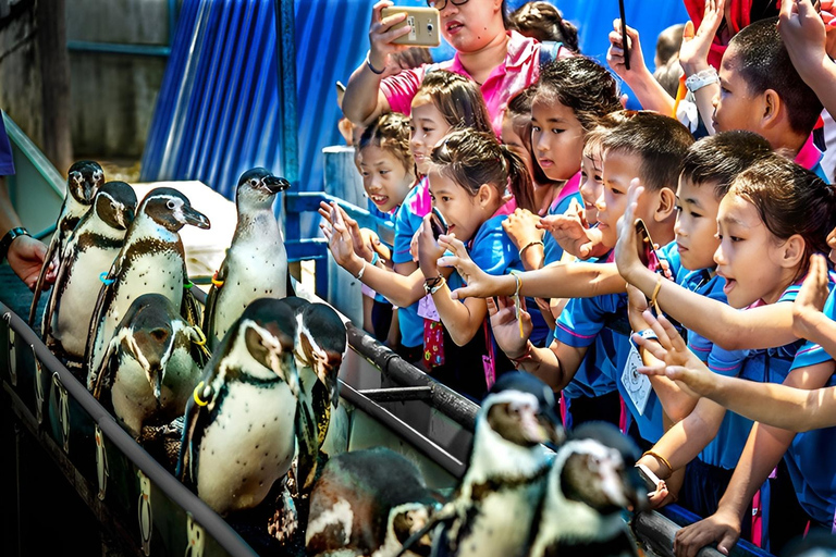 Bangkok/Pattaya: Excursão particular ao Zoológico Khao Kheow com serviço de busca