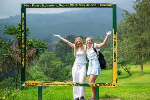 Private 4x4 Vitara Safari in Arusha National Park