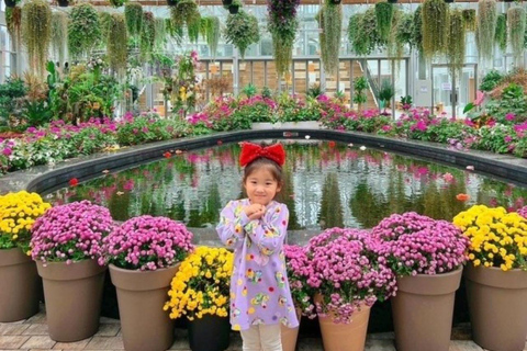 A partir de Seul: Begonia Bird Park, Rail Bike e Garden TourDongdaemun, 9h