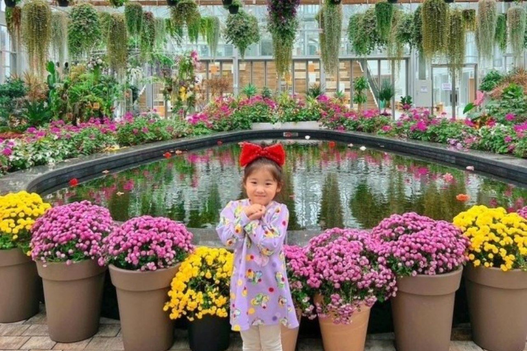 A partir de Seul: Begonia Bird Park, Rail Bike e Garden TourDongdaemun, 9h