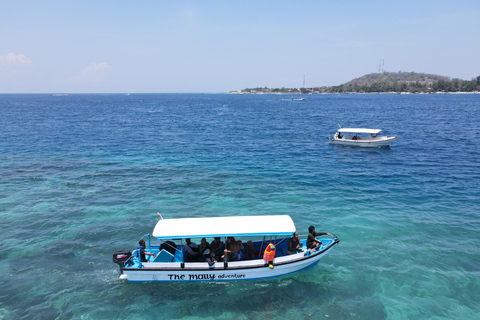 Gili island Snorkelling by private glass bottom boat