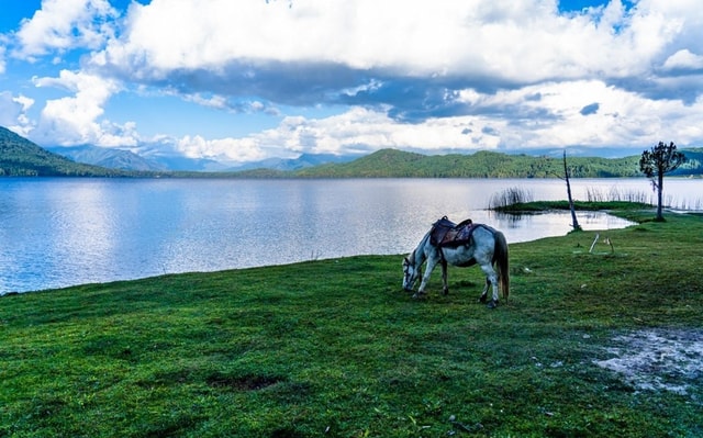 Kathmandu: Rara Lake 7-Day Tour with Flights and Meals