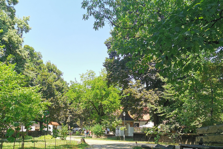 Bucarest: Tour guidato al Museo del Villaggio