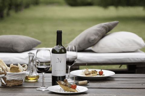 Montevideo: Spinoglio and Bouza Wineries tour with tasting