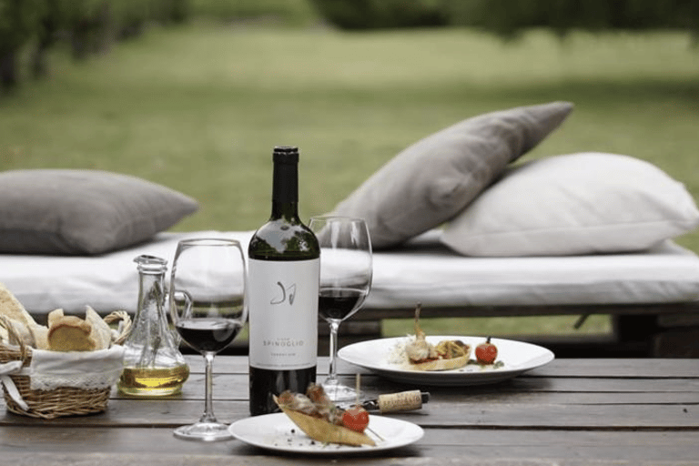 Montevideo: Spinoglio and Bouza Wineries tour with tasting