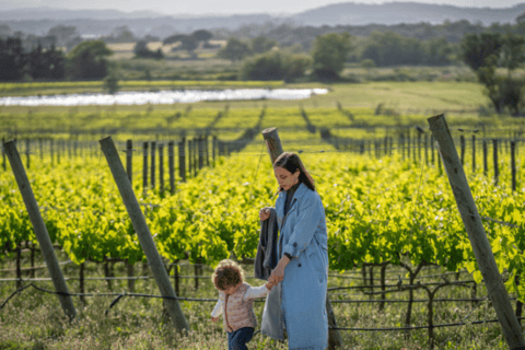 Pals: Visit the Mas Geli winery with a wine tasting Pals: Visit Celler Mas Geli with wine tasting (Spanish/Catalan)