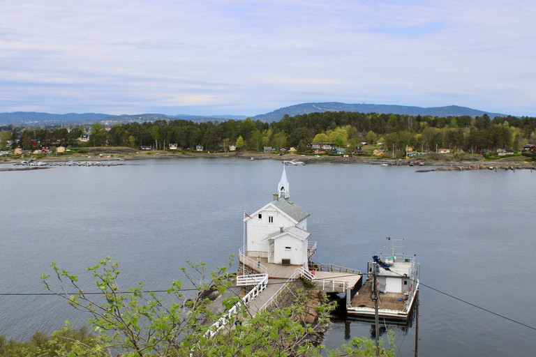 Oslo: Fjord, Birds and Footprints from the Past Cruise