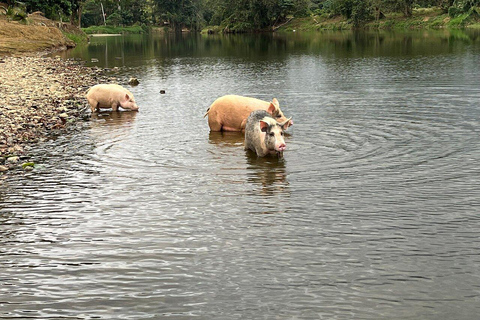 Private: Punta Cana: Animal Park, Farm, and River Adventure