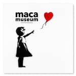 Copenaghen: Museo MACA: biglietto d'ingresso per Banksy e arte di strada