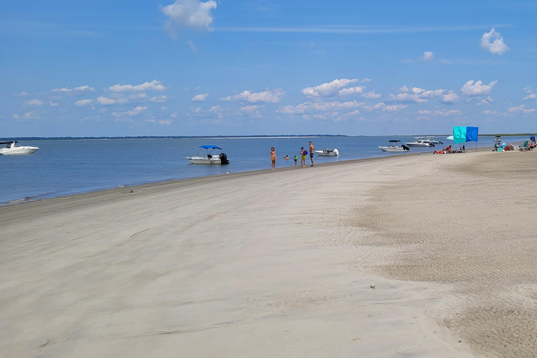 Savannah River Marsh: la tua indimenticabile avventura in crociera!