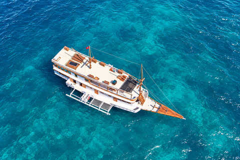 3D Komodo Sailing & Land Tour 12 Stops Single Bed & Hotel 3-Day Shared Cabin, Single Bed No Land Tour No Park Fee