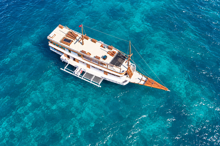 3D Komodo Sailing & Land Tour 12 Stops Single Bed & Hotel 3-Day Shared Cabin, Single Bed No Land Tour No Park Fee