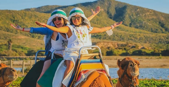 Cabo San Lucas: Camel Ride on the Beach