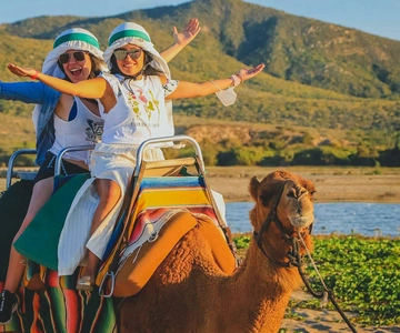Cabo San Lucas: Camel Ride on the Beach