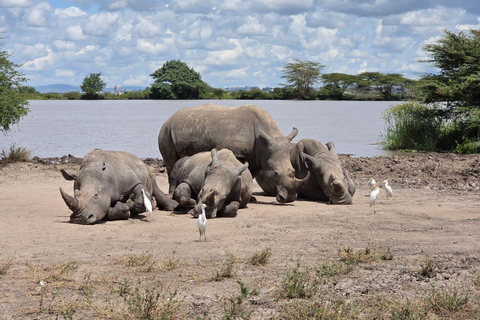 Nairobi National Park Safari 4x4 Car–Personalized Experience Shared Guided Game Open roofed 4x4 Van