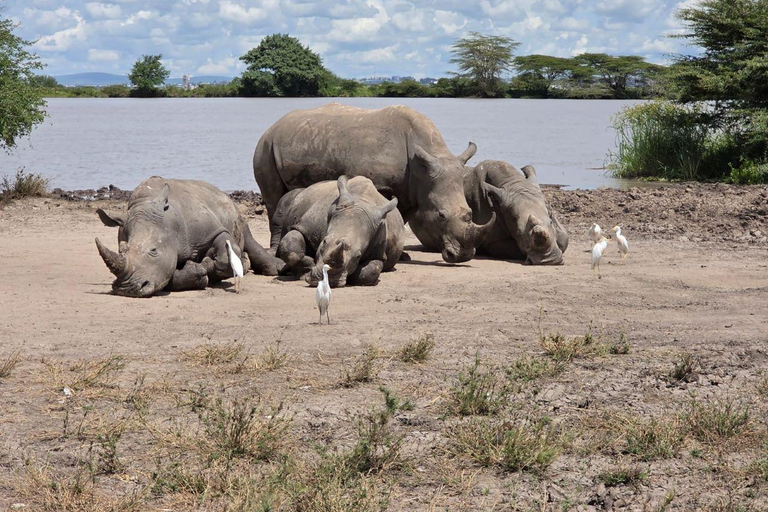 Nairobi National Park Safari 4x4 Car–Personalized Experience Shared Guided Game Open roofed 4x4 Van
