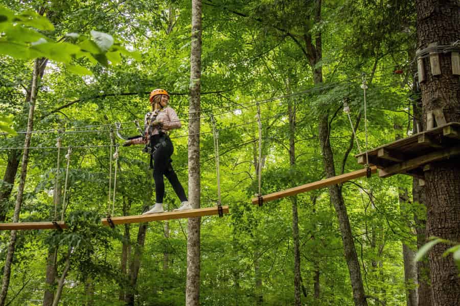 New River Gorge: Ticket für den TimberTrek Adventure Park. Foto: GetYourGuide New River Gorge: Ticket für den TimberTrek Adventure Park. Foto: GetYourGuide