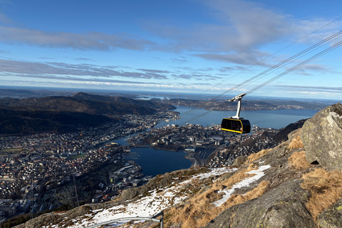 Bergen: Private Shore Excursion, Best of Bergen