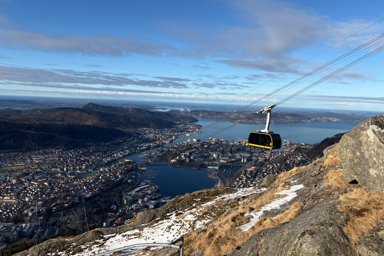 Bergen: Private Shore Excursion, Best of Bergen
