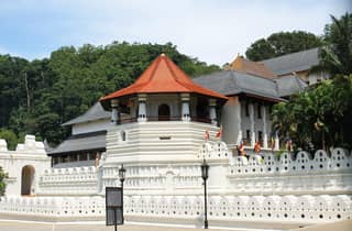 Ab Colombo: Kandy, Teefabrik, Tanzshow im Zahntempel